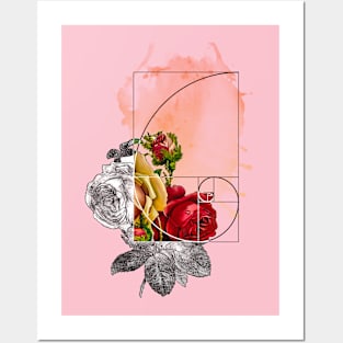 Fibonacci Rose Posters and Art